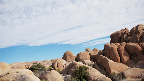 Joshua Tree Boulders 2 (1)