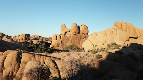 Joshua Tree National Park, California, Usa 3