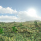 Open Grass Field 3 - HDRI - 3DOcean Item for Sale