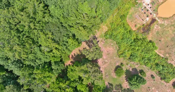 View From the Top of Small Town with Private Homes Situated Around a Forest in South Carolina