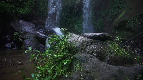 Close up shot of rocks with plants and moss during splashing waterfall in background in middle of ra