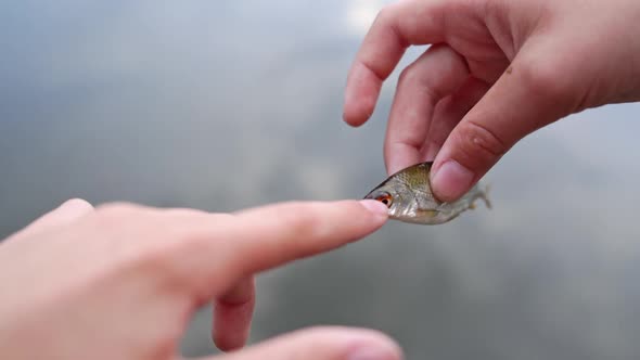 Woman with fish against water. Woman having fun with small fish and releases into water