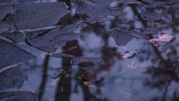 Puddles on the Stone Pavement alt
