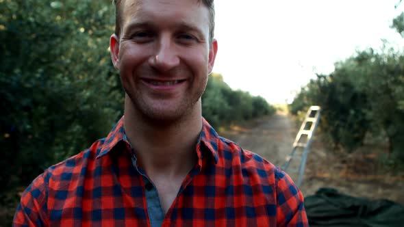 Smiling man standing with arms crossed in olive farm