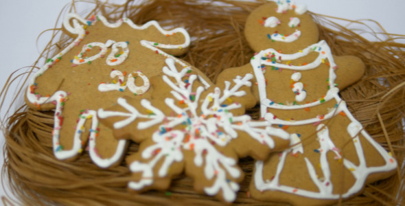 Gingerbread and Cookies 4