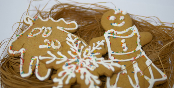 Gingerbread and Cookies 5