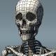 Skeleton Polygon Mesh of Adult Male Human - 3DOcean Item for Sale