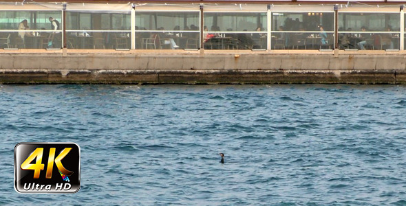 People in Restaurant near the Sea