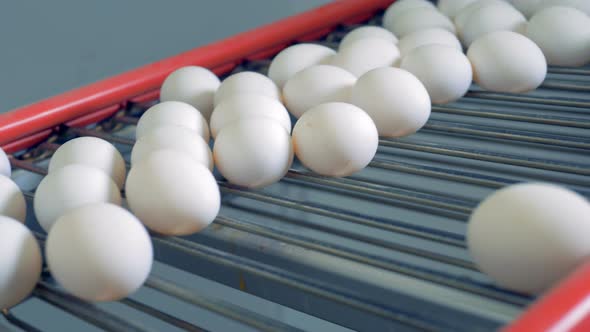 Eggs Moving on a Conveyor