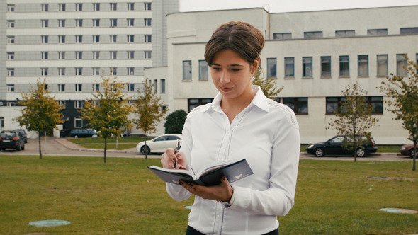 Business Women Working With Notes.