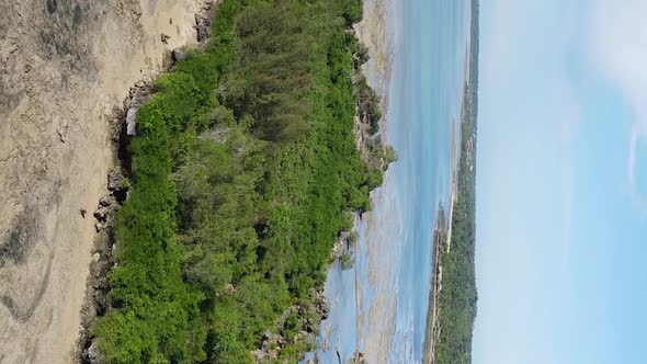 Zanzibar Tanzania  Vertical Video of Low Tide in the Ocean Near the Coast Slow Motion