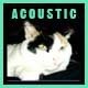 Acoustic Guitar