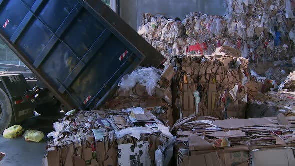Truck Dumping Cardboard (5 Of 5)