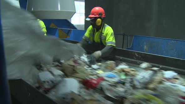 Trash Workers Weeding Through Recyclables (2 Of 10)