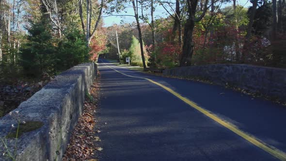 Road Over A Pond (2 Of 5)