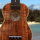 Ukulele Jazz - AudioJungle Item for Sale