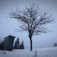 Winter Landscape in Carpathians - VideoHive Item for Sale