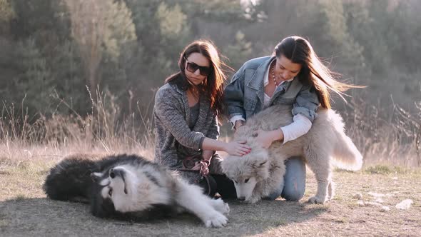 Young Beautiful Women Are Smiling and Hugging with Their Fluffy Cute Dogs