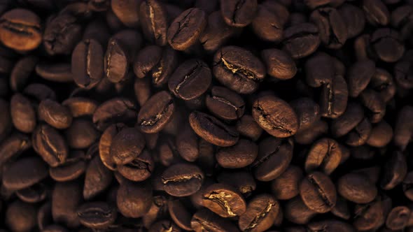 Coffee Beans in Rotation. Roasted Coffee Beans in Rotation, Studio Shot