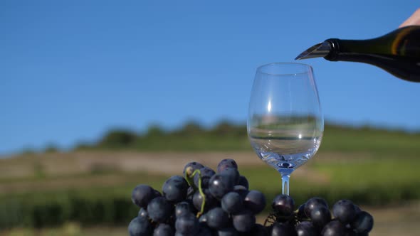 Pouring Wine