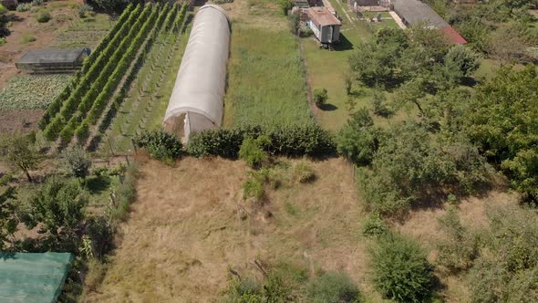 Slow motion of aerial drone footage above green house agriculture industry in the home.