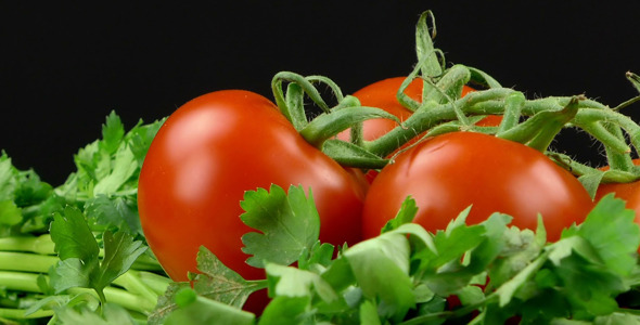 Parsley and Tomato 3