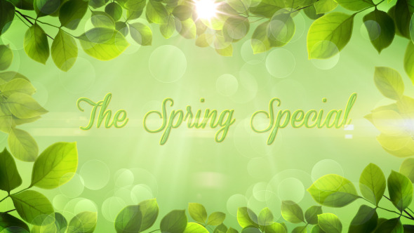 The Spring Special - Promo Pack - Apple Motion