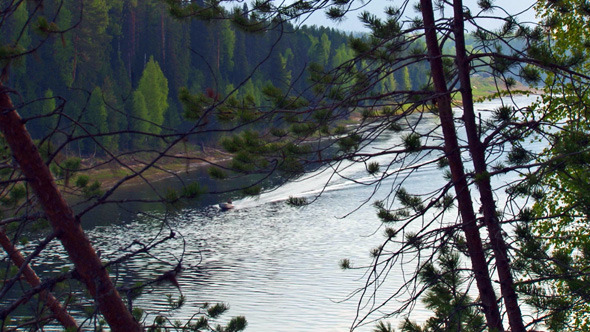 Boat Floats on the River Forest