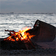 Bonfire on the Beach - VideoHive Item for Sale