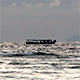 Small Boat Cruising on the Sea - VideoHive Item for Sale