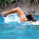 Man Swimming in the Pool 6 - VideoHive Item for Sale