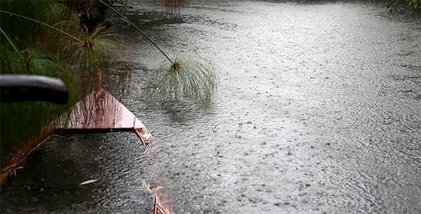 Sunken Boat in the Lake and Rain 1