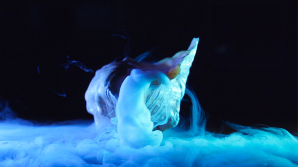 Mysterious Shell, Fog Smoke - Dry Ice, Black Background