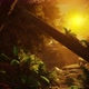 The Nature In The Sunset 2 - VideoHive Item for Sale