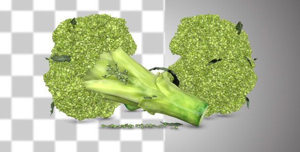 Broccoli With Alpha Channel