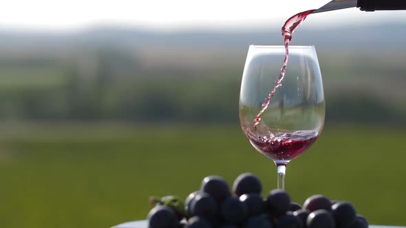 Pouring Red Wine