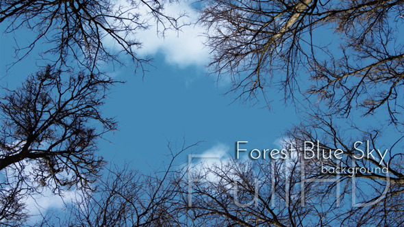 Forest Blue Sky Background alt