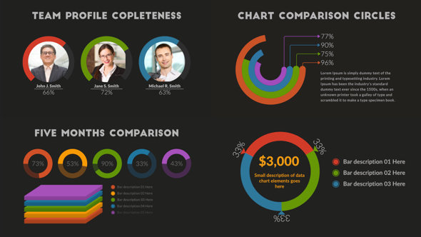 Infographic Report