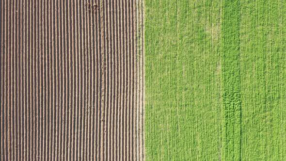 Drone View Tho Half Field  Green and Brown