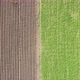 Drone View Tho Half Field  Green and Brown - VideoHive Item for Sale