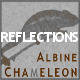 Reflections