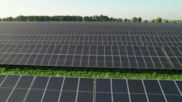 Aerial View of Solar Farm on the Green Field at Sunset Time Solar Panels in Row