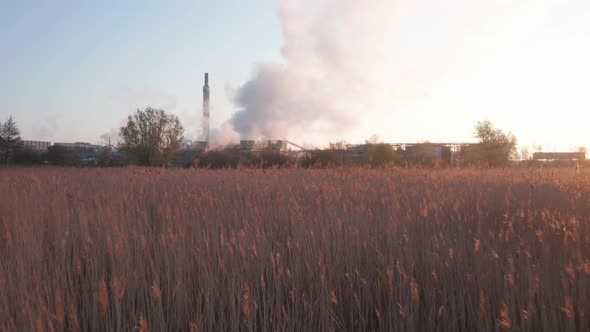 Steel factory during sunrise with grain field on foreground. Smoke coming from chimneys