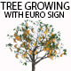 Tree Growing With Euro Sign - VideoHive Item for Sale