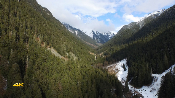 Aerial Flying Above The Forest in the Valley
