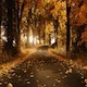 Autumn Leaves Piano Solo
