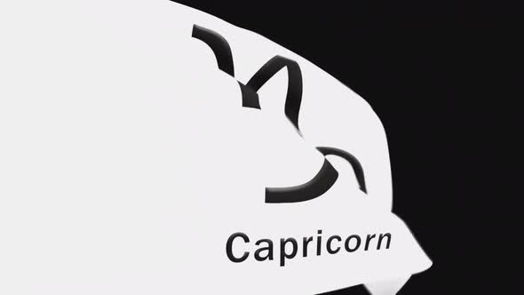 Capricorn Zodiac Flag