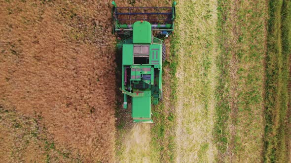 Top Central View of an Agricultural Machine Green Combine Working at a Fertile Land Full of Ready