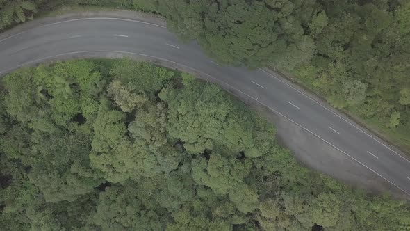 Scenic road in New Zealand