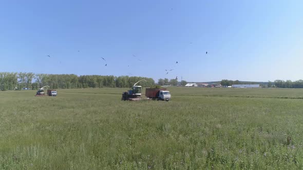 Drone view of Combines harvesting and trucks on wheat field. 01